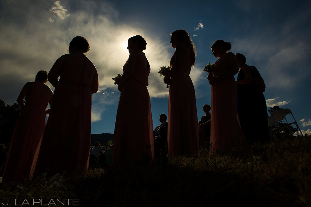 silhouette photo of bridesmaids