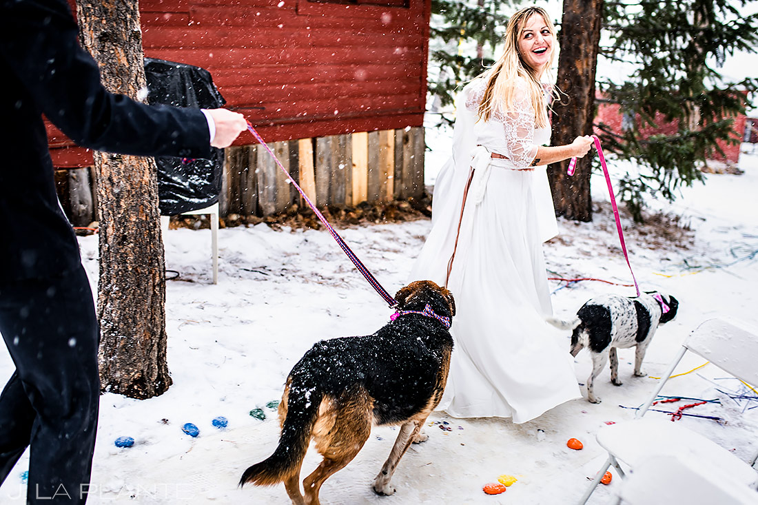 Dogs at Weddings | Rocky Mountain National Park Wedding | Estes Park Wedding Photographer | J. La Plante Photo