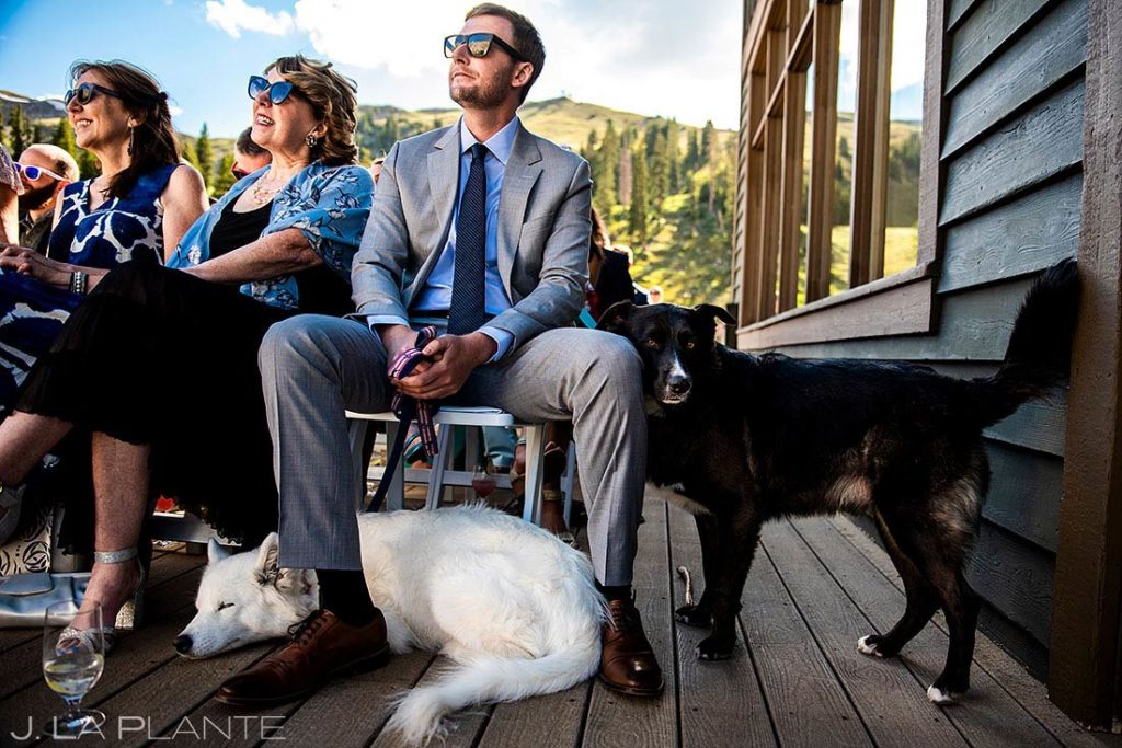 dogs at Arapahoe Basin wedding