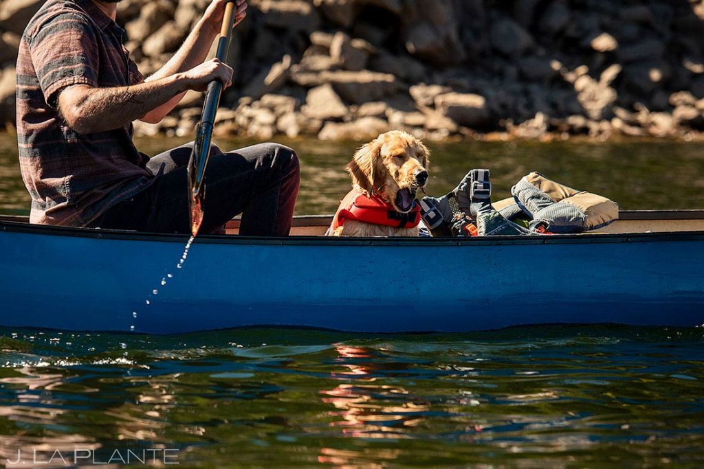 canoeing engagement session with dogs in Boulder Colorado