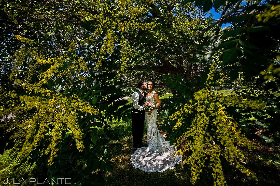 portrait of bride and groom on the wedding day