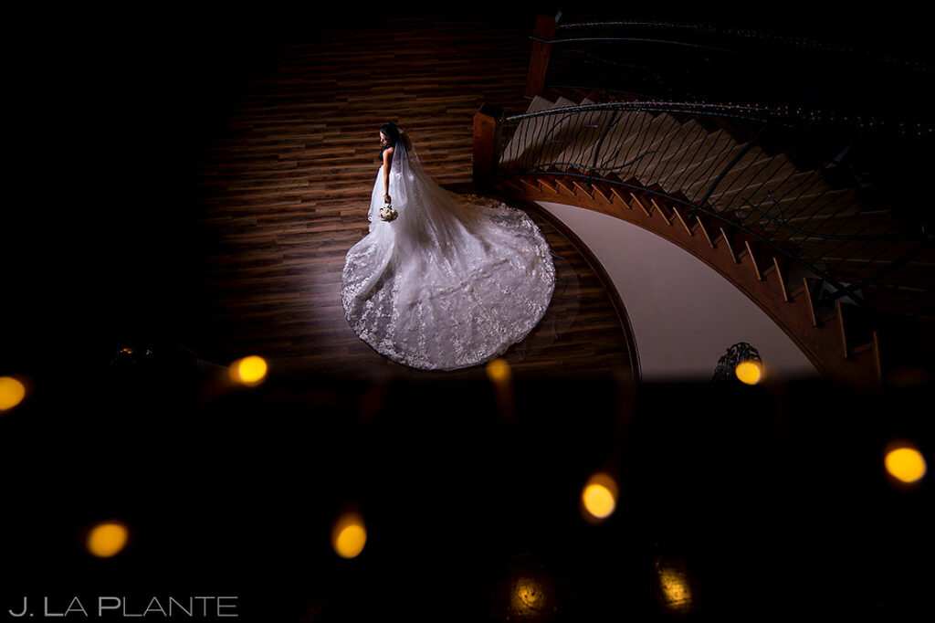 bridal portrait of bride in wedding dress